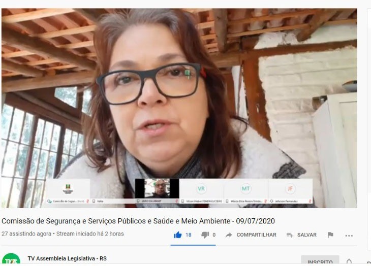 IPE Saúde é tema de audiência pública virtual